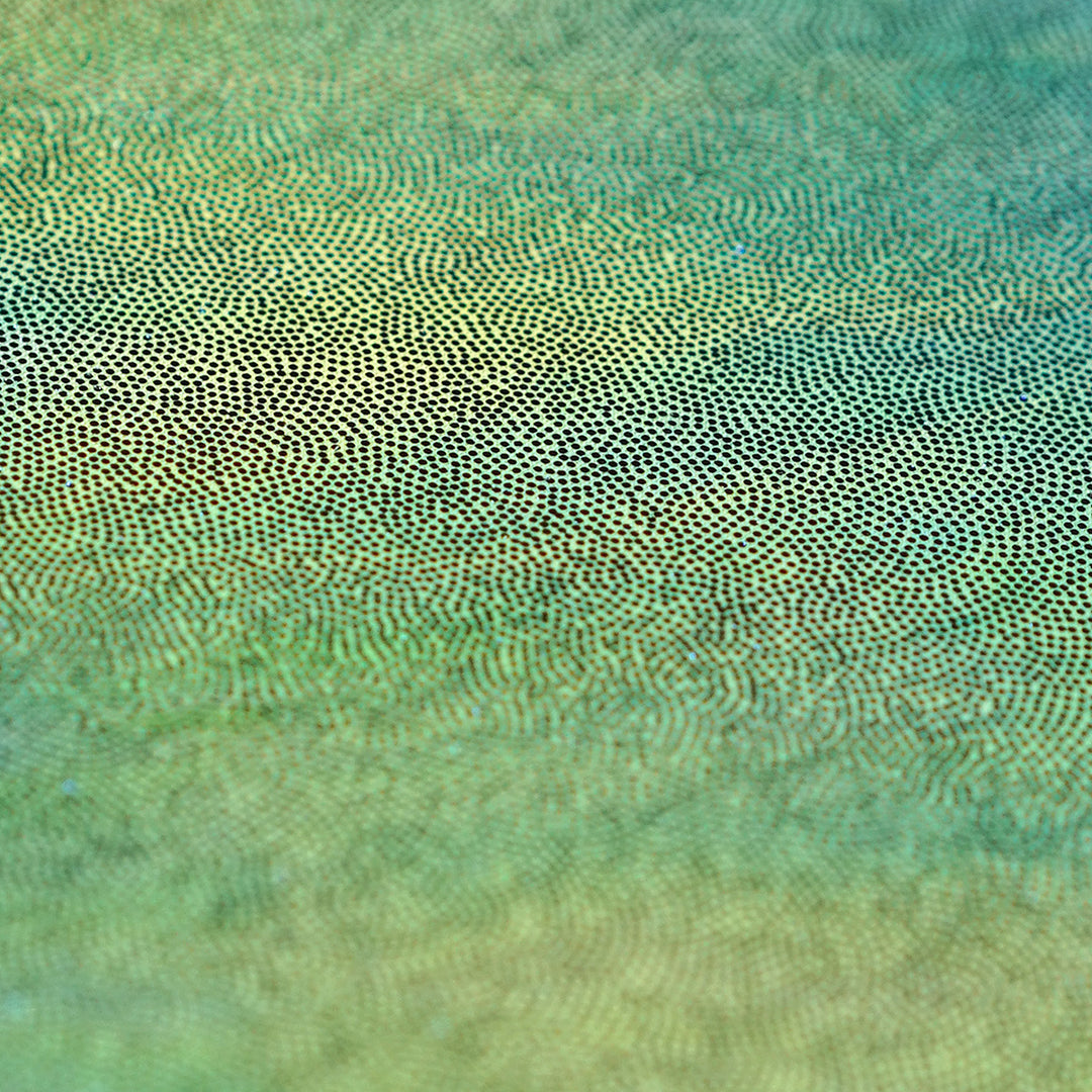 Holograph (Large)