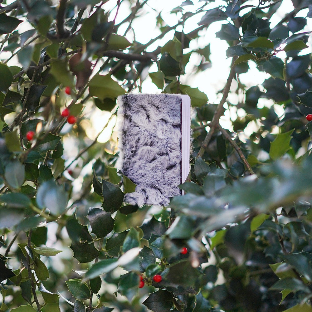 monster ami notebook hiding in a tree