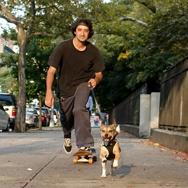 Dylan Goldberger