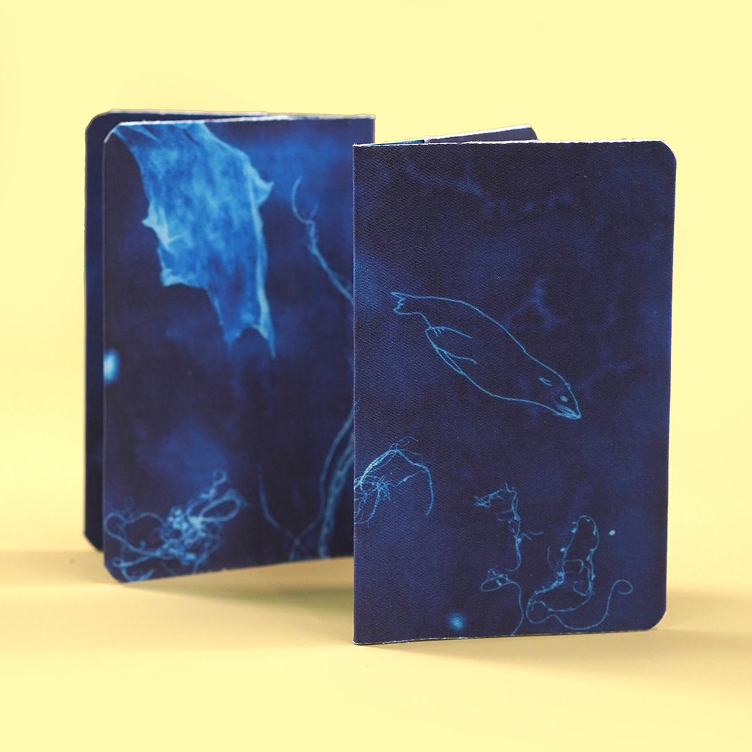 Ocean • Cyanotype No.7 Billfold