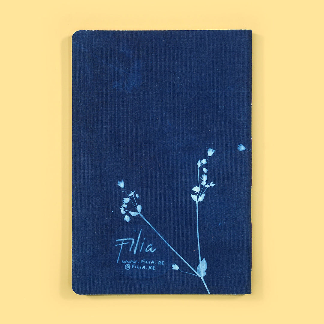 Fish • Original Cyanotype No.2 Notebook