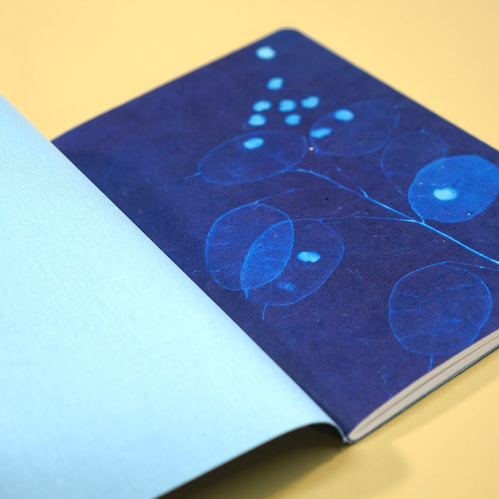 Ovallene • Original Cyanotype No.6 Notebook