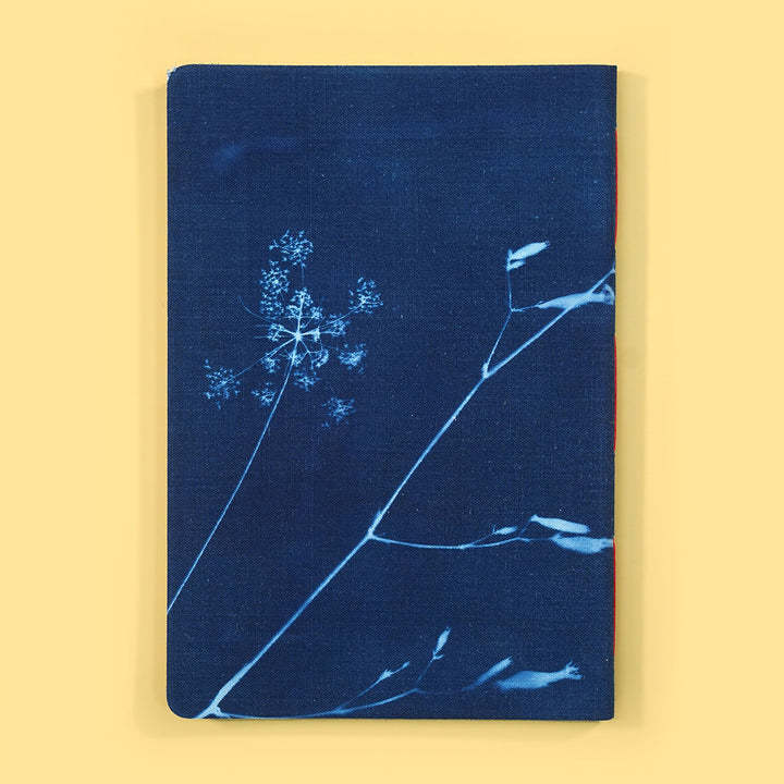 Stem • Original Cyanotype No.8 Notebook