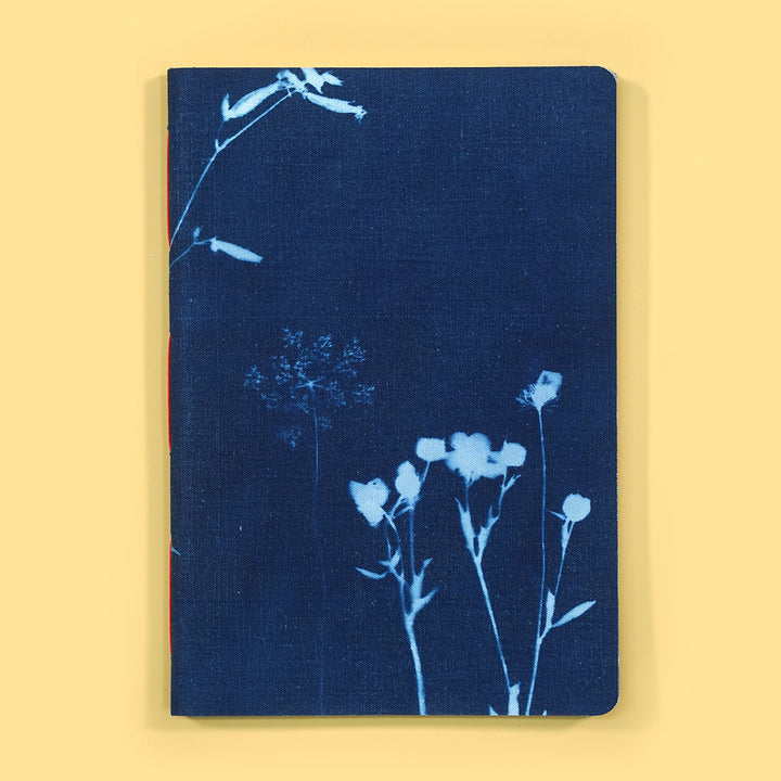 Stem • Original Cyanotype No.8 Notebook