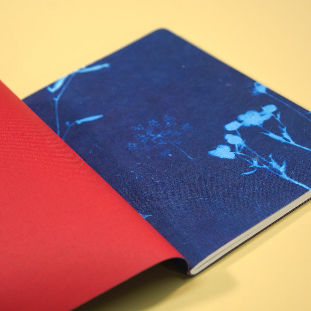 Stem • Original Cyanotype No.8 Notebook