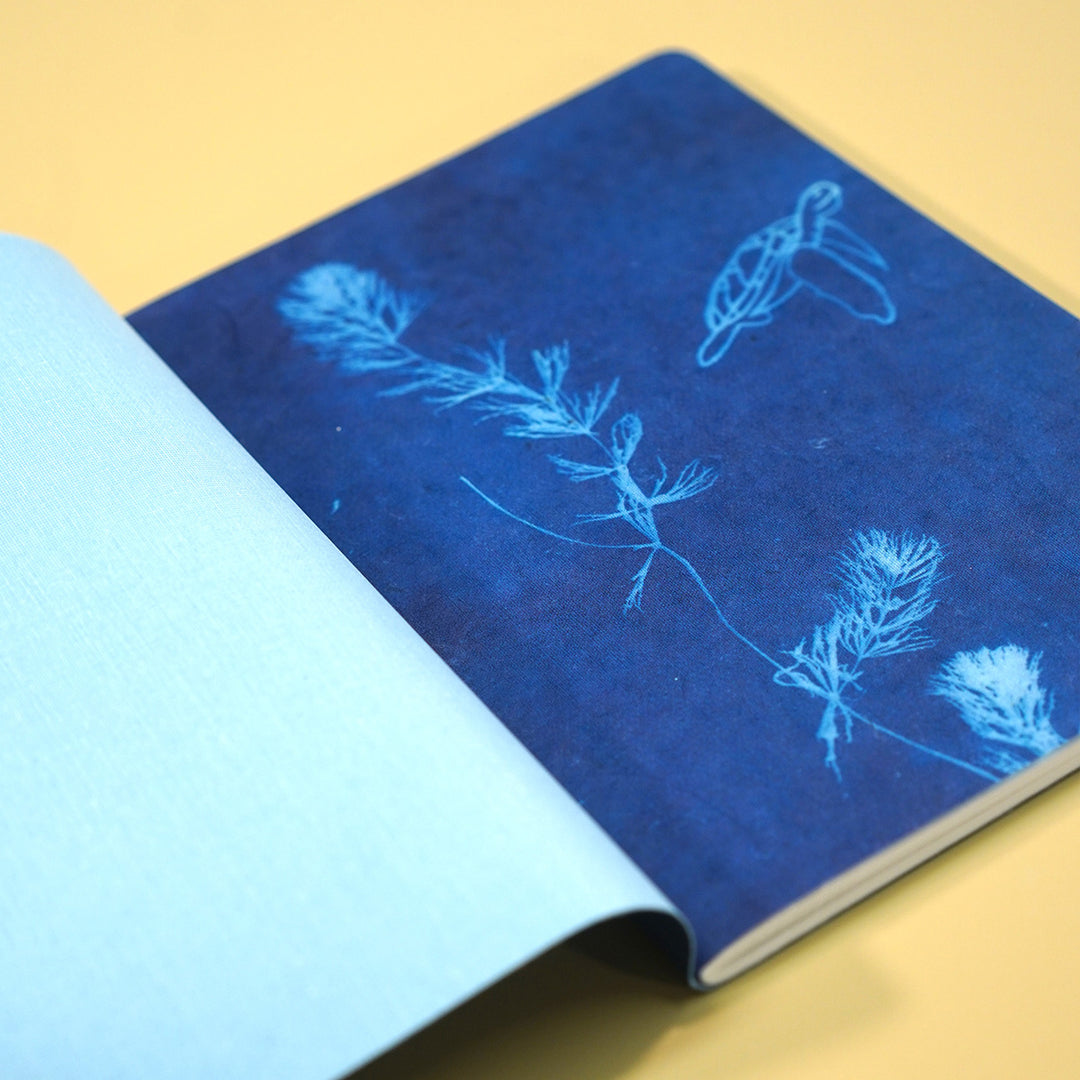 Turtle • Original Cyanotype No.9 Notebook