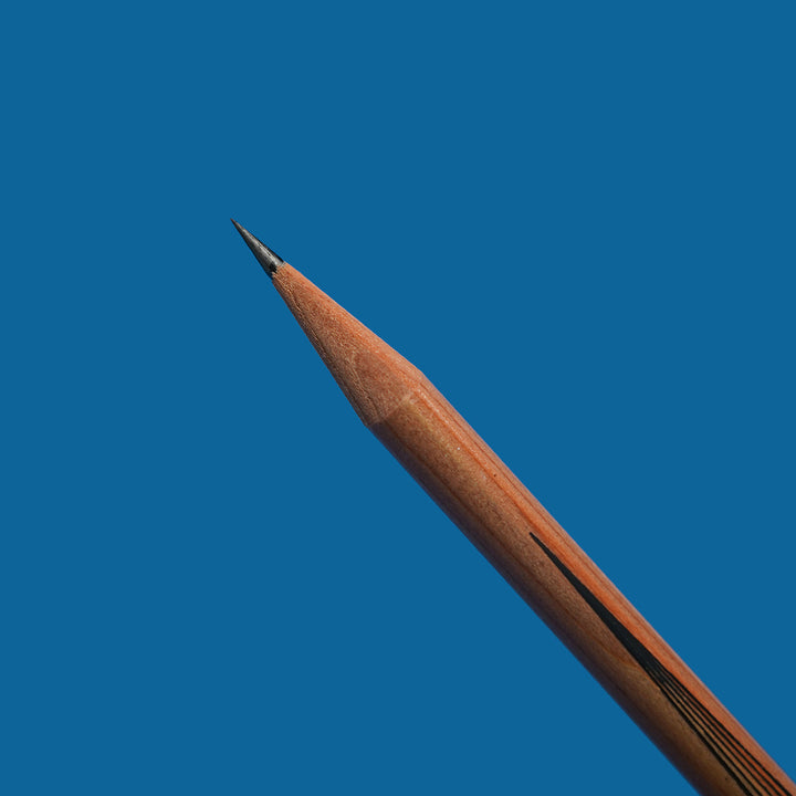 Long Point Posse Pencils